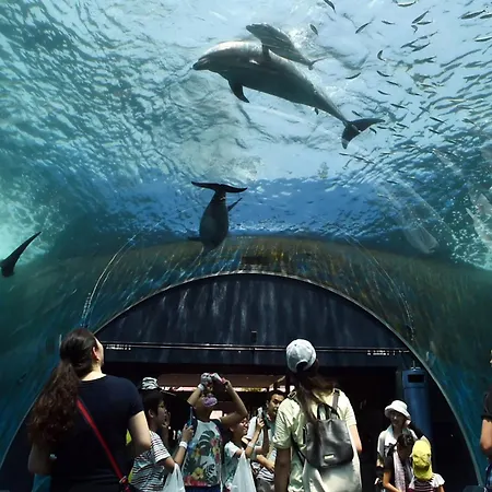 Jessica Flat Affittacamere