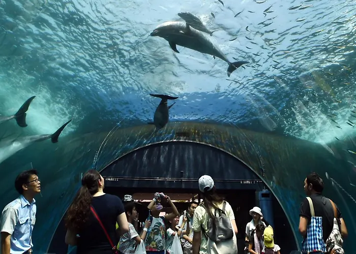 Jessica Flat Malta Royal Гостевой дом